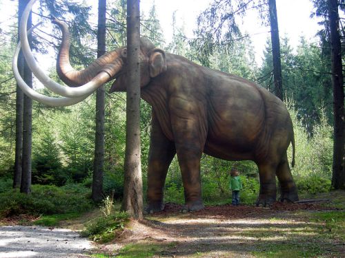 Mammoth_Mammut_model