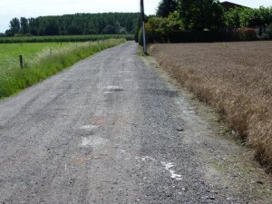 De Beemdweg. Een stukje ongerept Vremde.