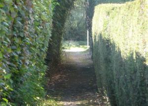 De FIFA was vooral erg te spreken over de vlotte bereikbaarheid van het belangrijkste voetbalveld in Vremde.