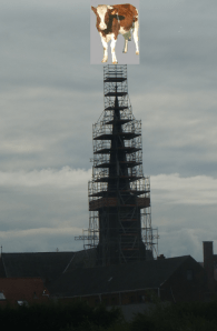 De Walen zijn weg met de windhaan. Om dit in de toekomst te vermijden zal er in de toekomst een koe op de kerk komen.