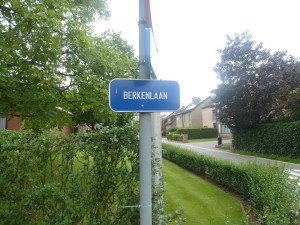 Fenomenaal zicht op het straatnaambordje van de Berkenlaan.