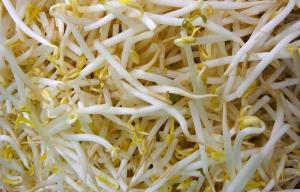 Sojascheuten uit Brazilië: niets zo efficiënt om je ecologische voetafdruk te verkleinen.