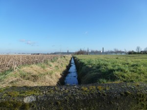 Was dit water bevroren, dan was dit een foto van een idyllische beek met idyllisch bevroren water.