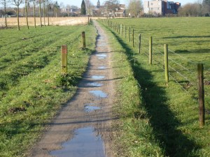 De drukste in- en uitvalsweg richting Vremde.