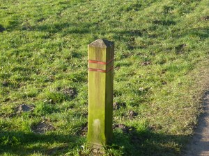 Paal. Rijmt op feodaal.