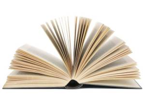 De lunchpauze werd ook dit jaar op vele plaatsen verstoord door de uitreiking van de Nobelprijs voor Literatuur.