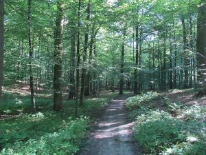 Maquette van hoe Brussel er in 2020 uitziet.